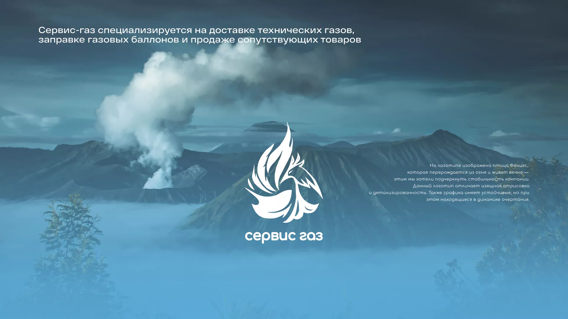 Создание сайта компании «Сервис газ» в Завитинске