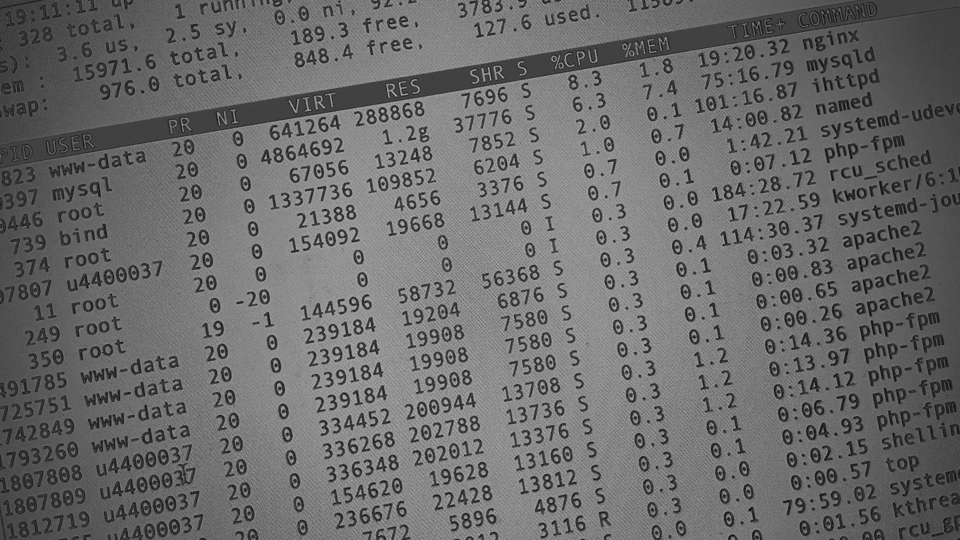 Настройка сервера в Завитинске Настройка сервера в Завитинске