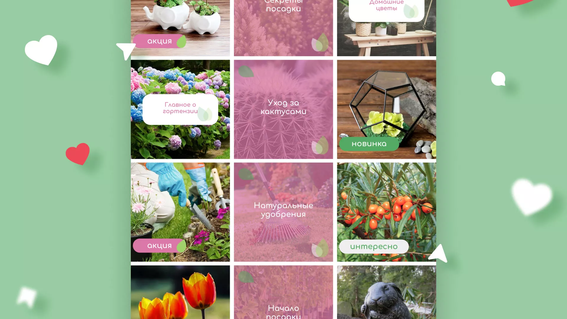 Разработка оформления профиля Instagram для магазина «Floraint» в Завитинске