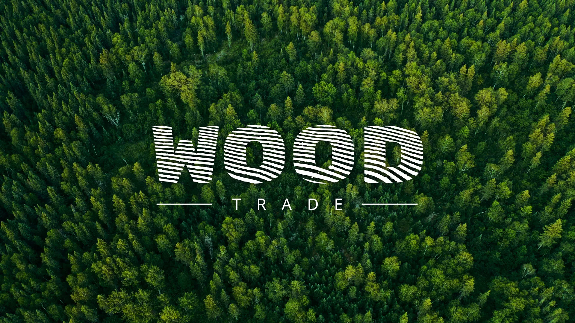 Разработка интернет-магазина компании «Wood Trade» в Завитинске