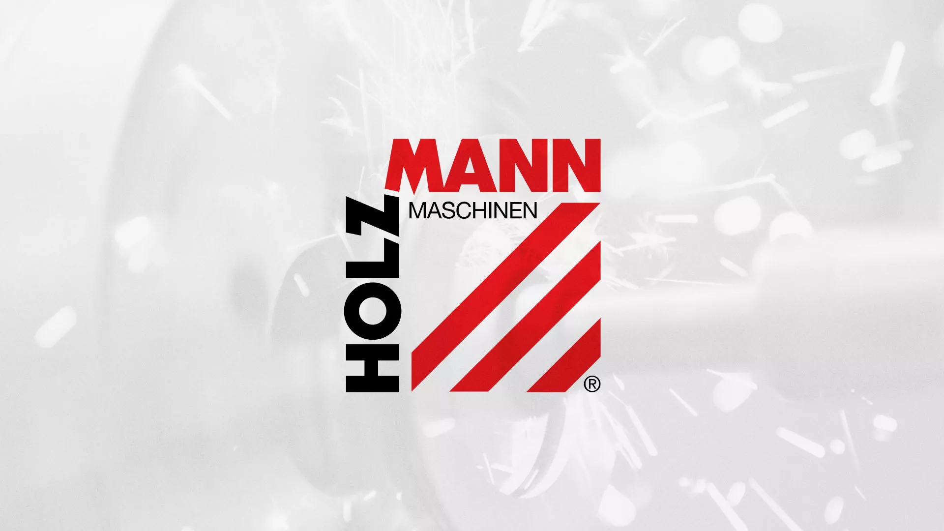 Создание сайта компании «HOLZMANN Maschinen GmbH» в Завитинске