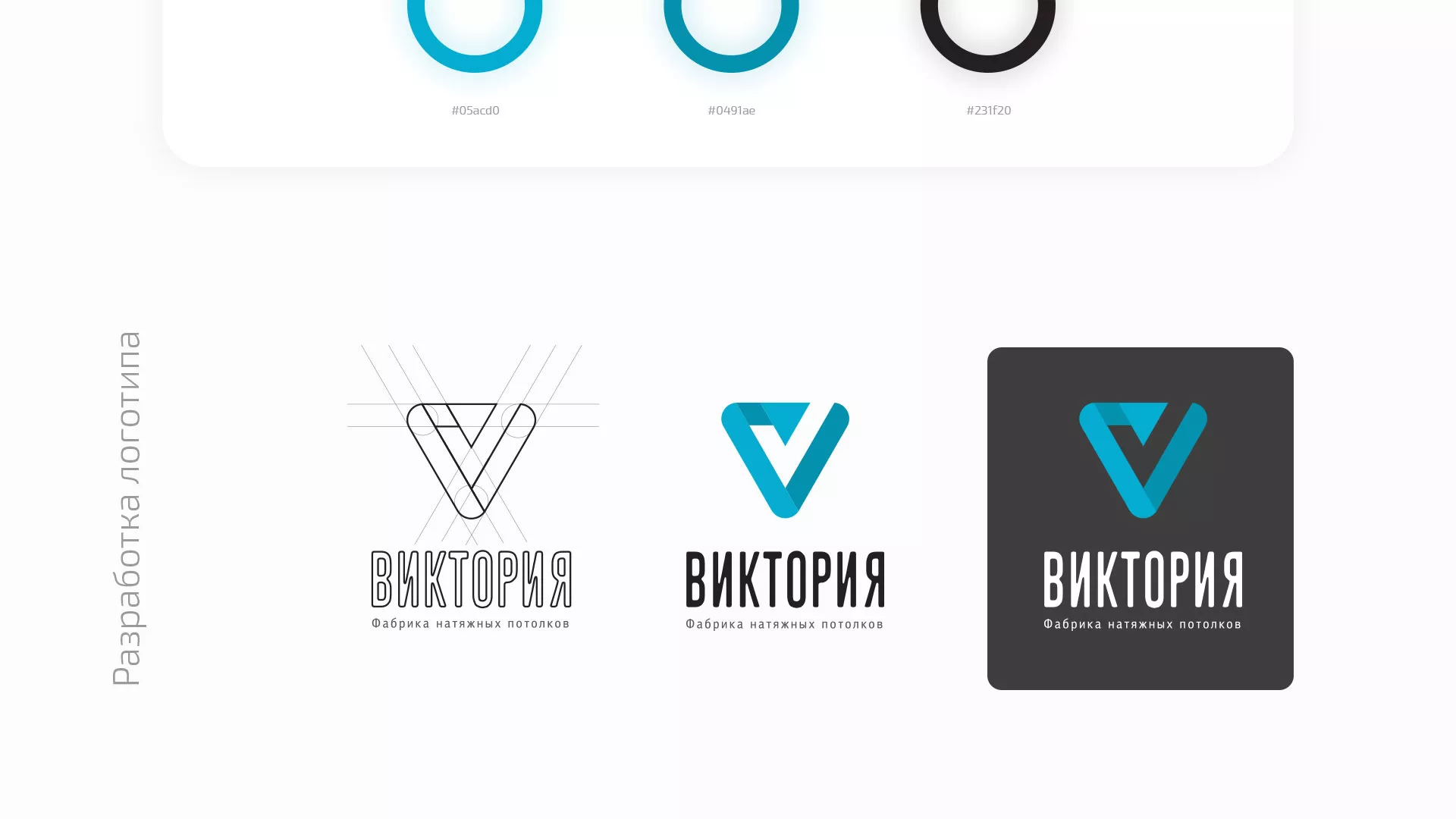 Разработка фирменного стиля компании по продаже и установке натяжных потолков в Завитинске
