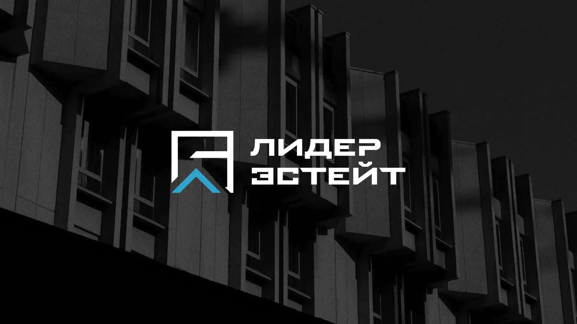 Разработка логотипа агентства недвижимости «Лидер Эстейт» в Завитинске
