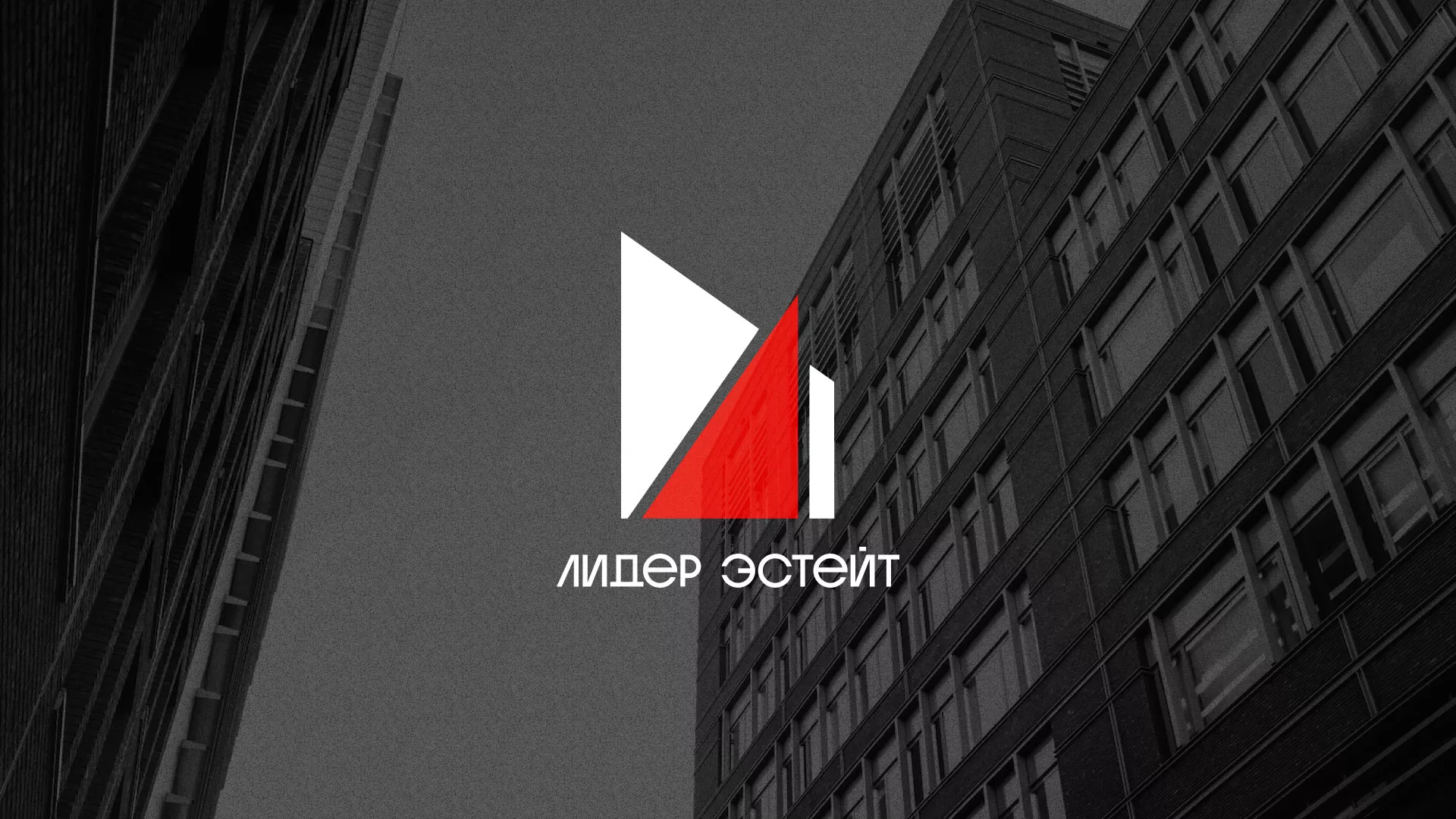 Сделали логотип для агентства недвижимости «Лидер Эстейт» в Завитинске